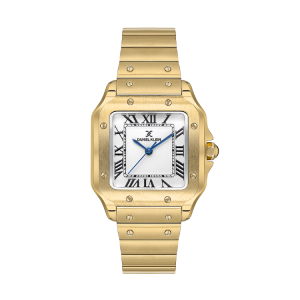 Montre Femme Daniel Klein